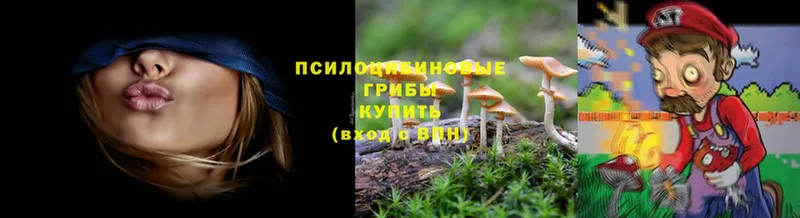 Галлюциногенные грибы Magic Shrooms  Боровичи 